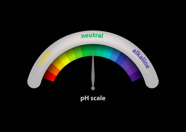 Escala Valor Para Soluciones Ácidas Alcalinas Equilibrio Ácido Base Infográfico — Vector de stock