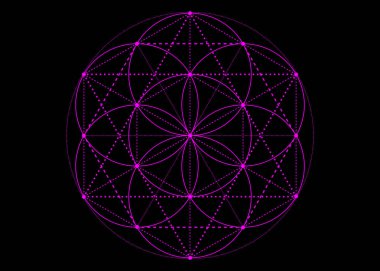 Yaşam sembolü Kutsal Geometri. Pembe mistik simya esrarengiz mandala, Hayat Çiçeği. Siyah arkaplanda izole edilmiş vektör