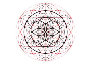 Yaşam sembolü Kutsal Geometri. Simya 'nın gizemli hayat çiçeğinin geometrik mistik mandala' sı. Beyaz arkaplanda izole edilmiş ilahi vektör meditasyon tılsımı