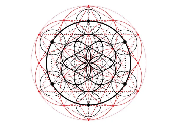 Yaşam sembolü Kutsal Geometri. Simya 'nın gizemli hayat çiçeğinin geometrik mistik mandala' sı. Beyaz arkaplanda izole edilmiş ilahi vektör meditasyon tılsımı