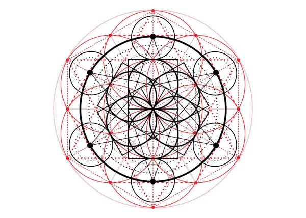 生命的种子符号神圣的几何 炼金术深奥的生命之花的几何神秘曼陀罗 白色背景下分离的矢量神冥想护身符 — 图库矢量图片
