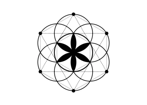 Символ Семени Жизни Сакральная Геометрия Геометрическая Мистическая Мандала Алхимического Эзотерического — стоковый вектор