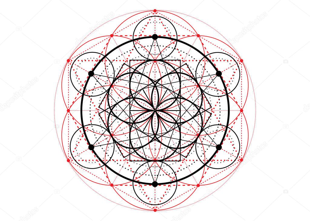 Seed of life symbol Sacred Geometry.  Geometric mystic mandala of alchemy esoteric Flower of Life. Vector divine meditative amulet isolated on white background