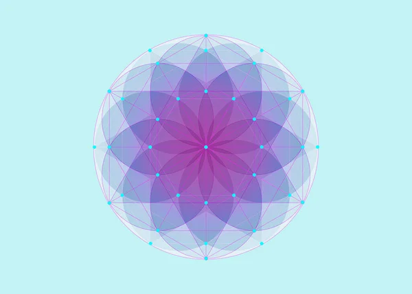 Semilla Vida Símbolo Geometría Sagrada Mandala Mística Geométrica Alquimia Esotérica — Archivo Imágenes Vectoriales