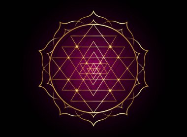 Tasarımın için Sri Yantra 'nın mistik mandala' sı. Altın kutsal geometri ve simya sembolü altın nilüfer çiçeğinde çiçek açıyor. Beyaz arka planda izole edilmiş vektör. 
