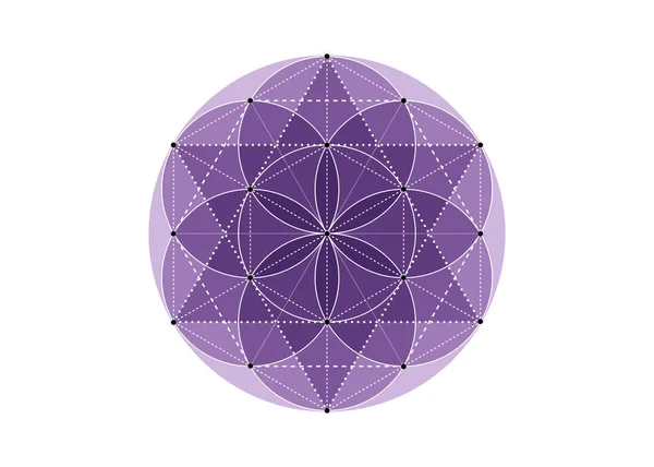 Symbole Semence Vie Géométrie Sacrée Mandala Mystique Géométrique Alchimie Ésotérique — Image vectorielle