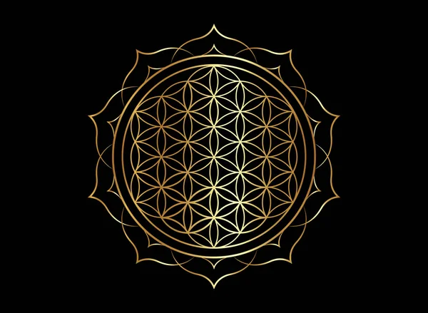 Flor Vida Yantra Mandala Flor Loto Geometría Sagrada Brillante Símbolo — Vector de stock