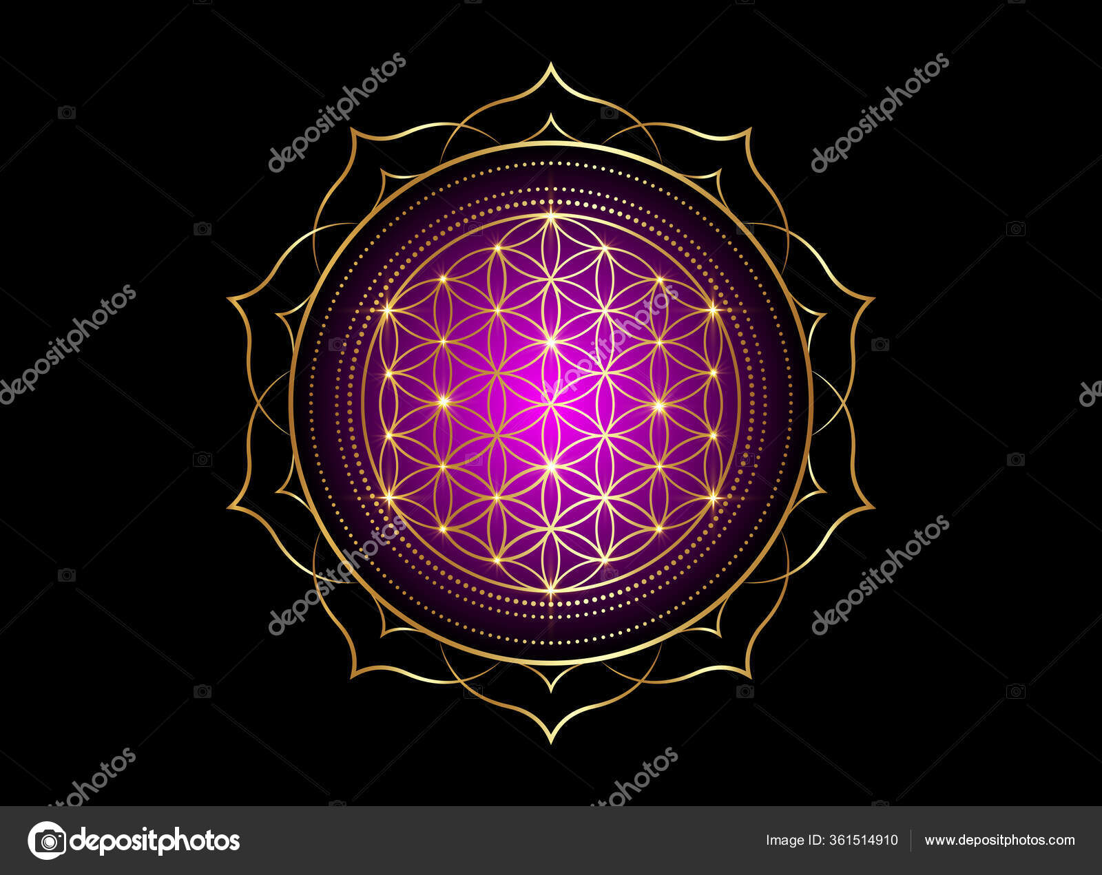 Fleur De Vie Image Gratuite à Imprimer fity.club