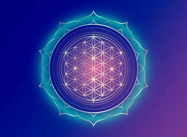 Floarea Vieții Yantra Mandala Floarea Lotus Geometria Sacră Simbolul Luminos — Vector de stoc