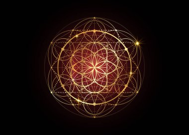 Yaşam sembolü Kutsal Geometri. Simya 'nın gizemli hayat çiçeğinin geometrik mistik mandala' sı. Altın lüks tasarım, kutsal meditasyon tılsımı vektörü, siyah arka planda izole edilmiş.