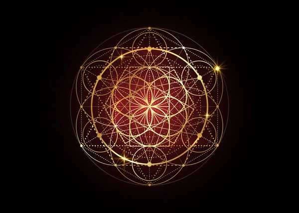 生命的种子符号神圣的几何 炼金术深奥的生命之花的几何神秘曼陀罗 金色豪华设计 矢量神冥想护身符隔离在黑色背景 — 图库矢量图片
