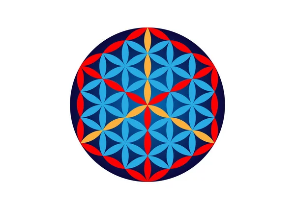Geometría Sagrada Flor Vida Cubo Metatrones Símbolo Alquimia Religión Espiritualidad — Archivo Imágenes Vectoriales