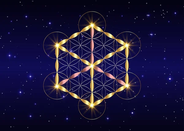 神聖な幾何学 生命とメタトロンキューブの花 金錬金術 宗教と精神性のシンボル 青い星空の下で孤立したベクトル — ストックベクタ