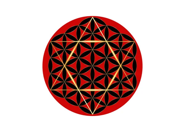 David Star Λουλούδι Της Ζωής Ιερή Γεωμετρία Κύβος Metatrons Χρυσό — Διανυσματικό Αρχείο