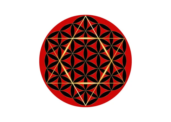 David Star Con Flor Vida Geometría Sagrada Cubo Metatrones Signo — Archivo Imágenes Vectoriales