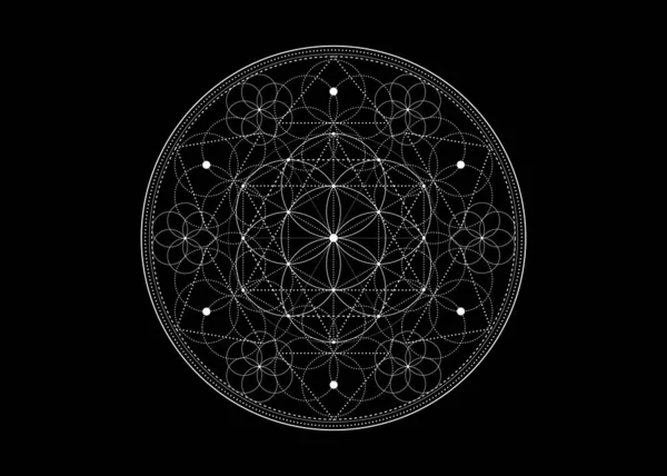 生命のシンボルの種神聖な幾何学 錬金術の幾何学的な神秘的な曼荼羅生命の花 黒の背景に隔離されたベクトル黒と白の神聖な瞑想のお守り — ストックベクタ