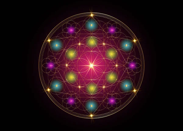 Semilla Vida Símbolo Geometría Sagrada Mandala Místico Geométrico Indio Alquimia — Vector de stock