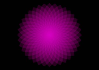 Matematiksel sembol, mor lotus logosu. Mandala tasarımı. Hayat Çiçeği. Kutsal Geometri. Dönen dairelerin şekli. Denge ve uyum. Neon pembe halkalar. Siyah üzerine izole edilmiş vektör illüstrasyonu