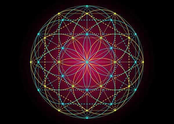 Semilla Vida Símbolo Geometría Sagrada Mandala Místico Geométrico Alquimia Esotérica — Vector de stock