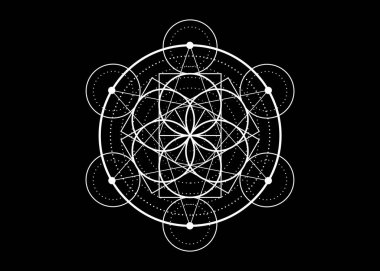 Yaşam sembolü Kutsal Geometri. Simya 'nın gizemli hayat çiçeğinin geometrik mistik mandala' sı. Siyah zemin üzerinde izole edilmiş vektör beyaz ilahi meditasyon tılsımı