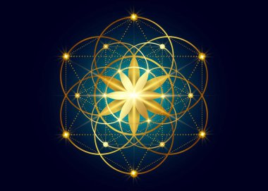 Yaşam sembolü Kutsal Geometri. Simya 'nın gizemli hayat çiçeğinin geometrik mistik mandala' sı. Altın lüks tasarım, kutsal meditasyon tılsımı vektörü, siyah arka planda izole edilmiş.