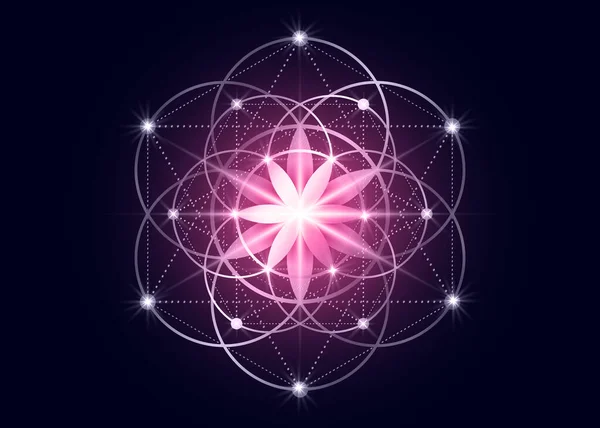 Semena Života Symbol Posvátné Geometrie Geometrická Mystická Mandala Alchymie Esoterický — Stockový vektor