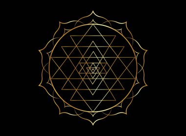 Tasarımın için Sri Yantra 'nın mistik altın mandala' sı. Altın kutsal geometri ve simya sembolü altın bir nilüfer çiçeğinde çiçek açıyor, siyah arka planda izole edilmiş vektör. 