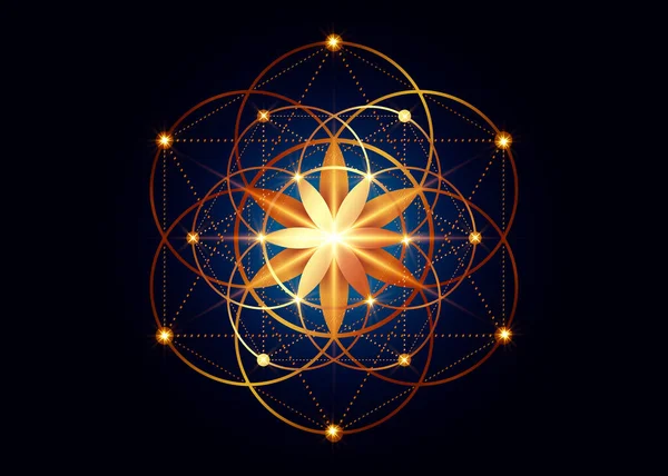 生命のシンボルの種神聖な幾何学 錬金術の幾何学的な神秘的な曼荼羅生命の花 黄金の豪華なデザイン ダークブルーの背景に隔離されたベクトル神の瞑想のお守り — ストックベクタ