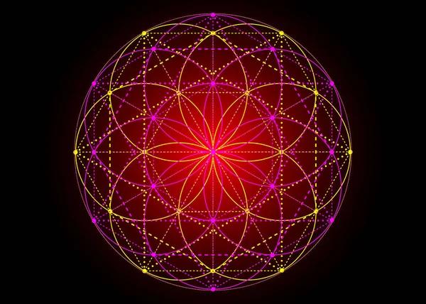 Ziarno Symbolu Życia Święta Geometria Geometryczna Mistyczna Mandala Alchemicznego Kwiatu — Wektor stockowy