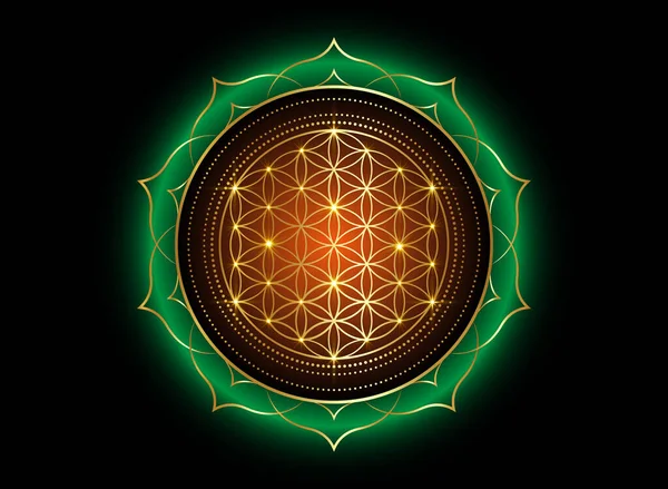 Flower Life Yantra Mandala Lotusbloem Heilige Geometrie Helder Gouden Symbool — Stockvector