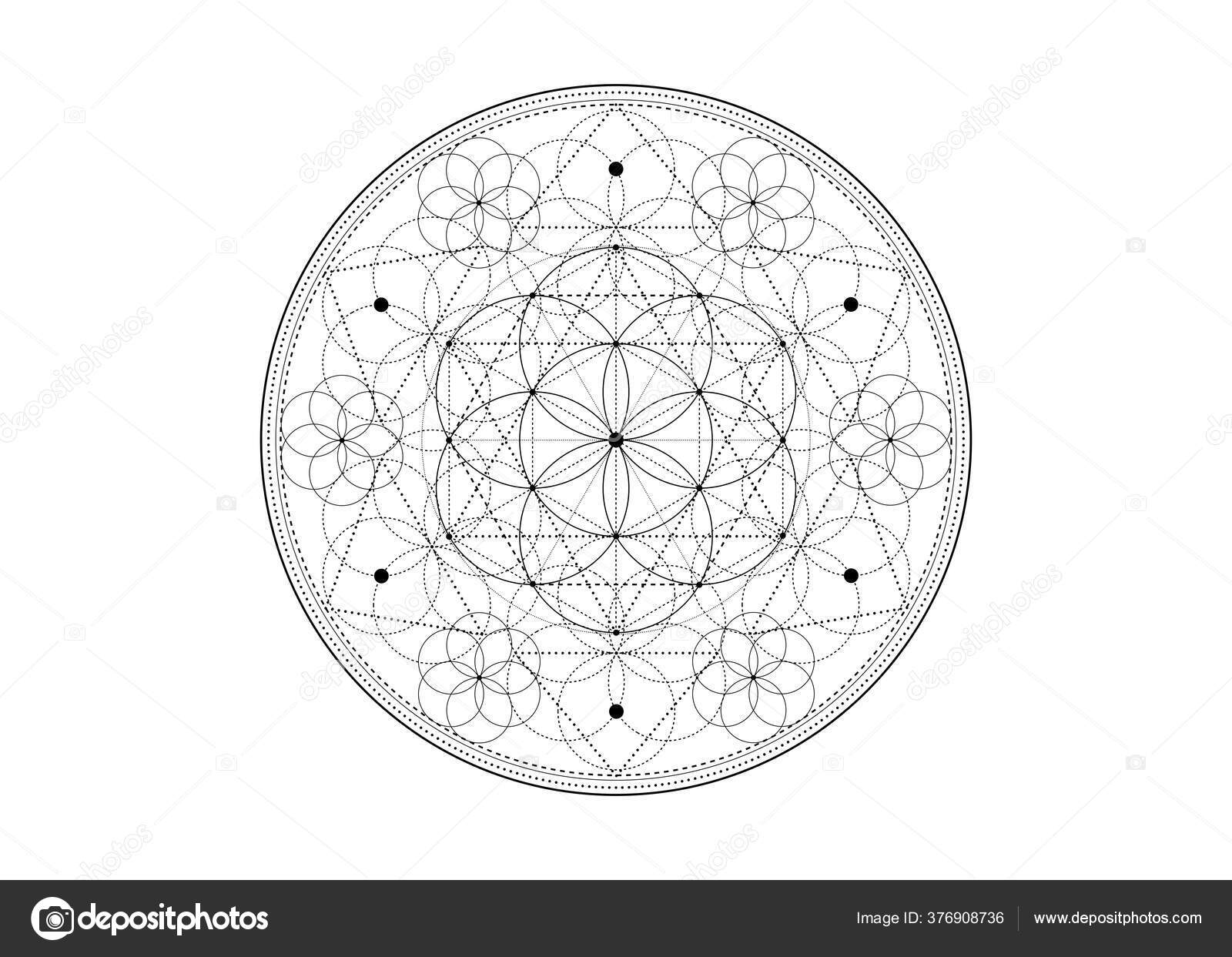 生命的种子符号神圣的几何炼金术深奥的生命之花的几何神秘曼陀罗在白色背景上孤立的黑白神性冥想护身符图库矢量图©robin_ph 376908736, image size:1600x1243