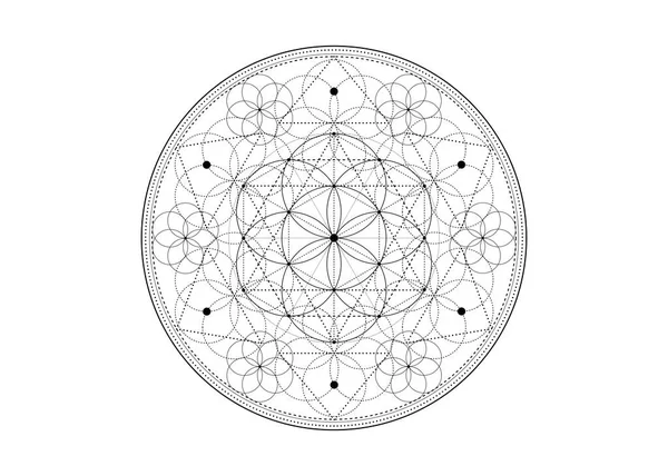 Semente Símbolo Vida Geometria Sagrada Mandala Mística Geométrica Alquimia Flor —  Vetores de Stock