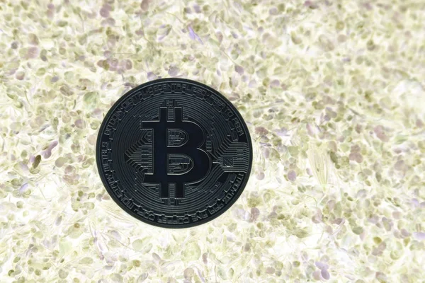 Bitcoin en el pantano verde — Foto de Stock