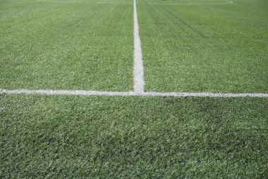 Futbol sahası doğal çim bir stadyumda, çizgi ile