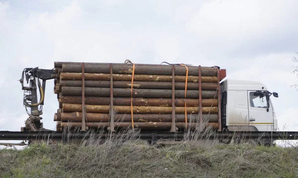 Un camión que lleva madera con manipulador — Foto de Stock