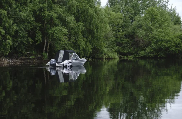 Op het water rijdt een motorboot op een achtergrond van bomen . — Stockfoto