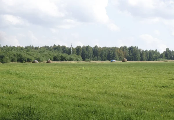 Fardos de heno en un campo en —  Fotos de Stock