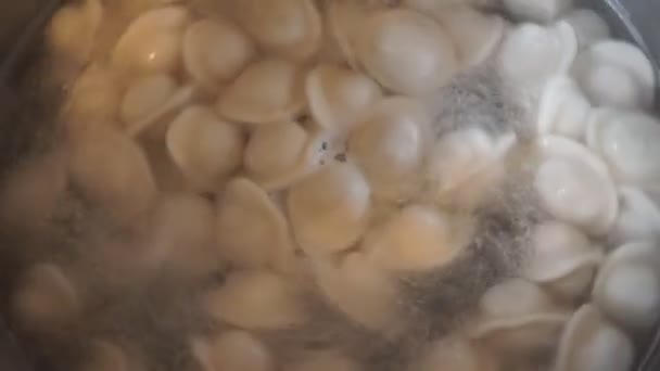 在沸腾的水中煮饺子 锅肉饺子 — 图库视频影像