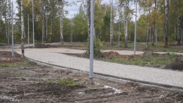 Colocación Losas Pavimentación Por Primer Plano Mosaico Pavimentación Carreteras Construcción — Vídeo de stock