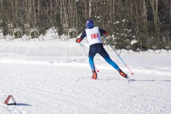 Esquiador cross-country carrera sol , — Foto de Stock