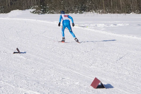 에 햇볕이 잘 드는 겨울 아침에 크로스 컨트리 skiers의 그룹 가족 경쟁 — 스톡 사진