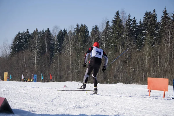 Realiza una prueba de velocidad durante la Copa del Mundo de esquí freestyle —  Fotos de Stock