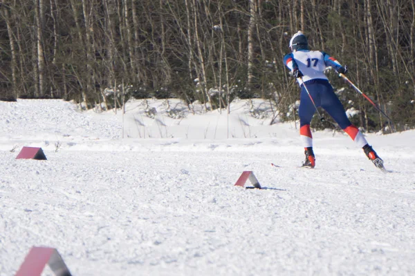 Jonge sporter met nummer skiën in de Alpen op een zonnige dag-skiër ritten naar beneden voor de wintersneeuw sport competities- — Stockfoto