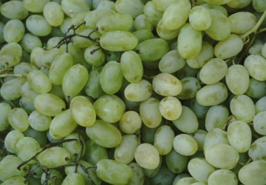 Kırmızı şarap arka plan koyu üzüm mavi