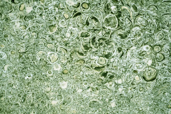 Bela parede de decoração de luxo de mármore verde com estrias. Parede textura de mármore verde. Textura de fundo de pedra. Padrão de pedra. Fundo sem costura abstrato — Fotografia de Stock