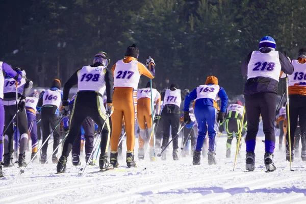 Competição Júnior Ski Downhill Realizada Anualmente Nas Pistas Esqui Nevadas — Fotografia de Stock