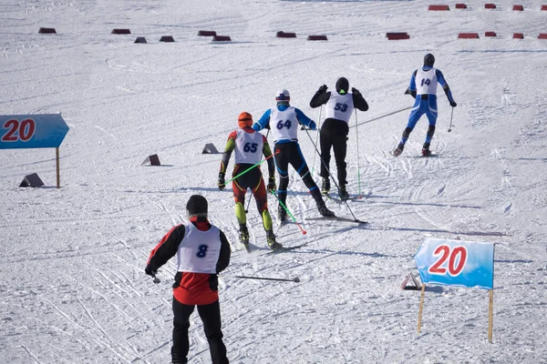 Pista Sci Pista Sci Del Bambino Fissata Sul Retro Dello — Foto Stock