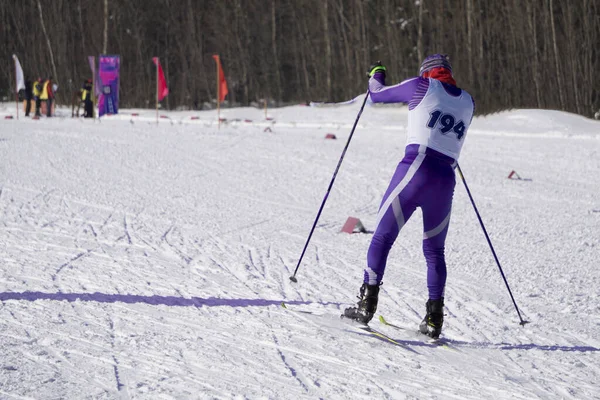 Skilangläufer Mit Startnummer Bei Einem Rennen Den Bergen — Stockfoto