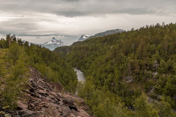 Blick auf Wald und Berge — Stockfoto