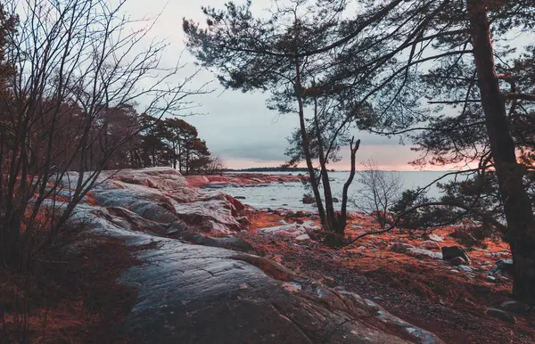 Stormig dag, träden är böjen, på Drumsö Helsingfors Finland — Stockfoto